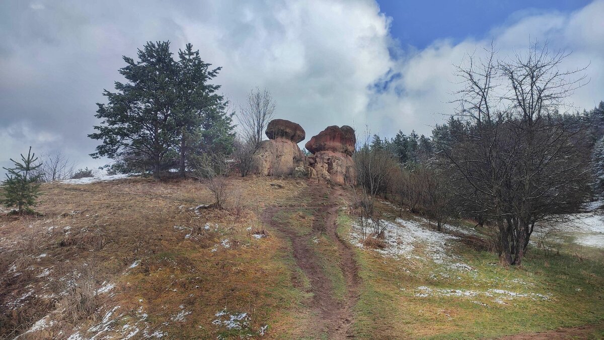 Каменные грибы - Мариша 