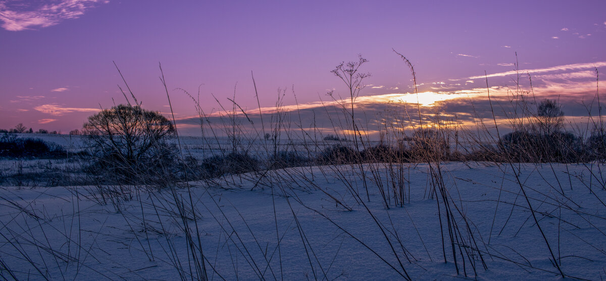 Морозным утром - Sergei Vikulov