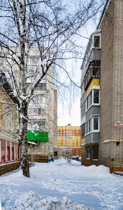 Цветной дворик - Александр Силинский