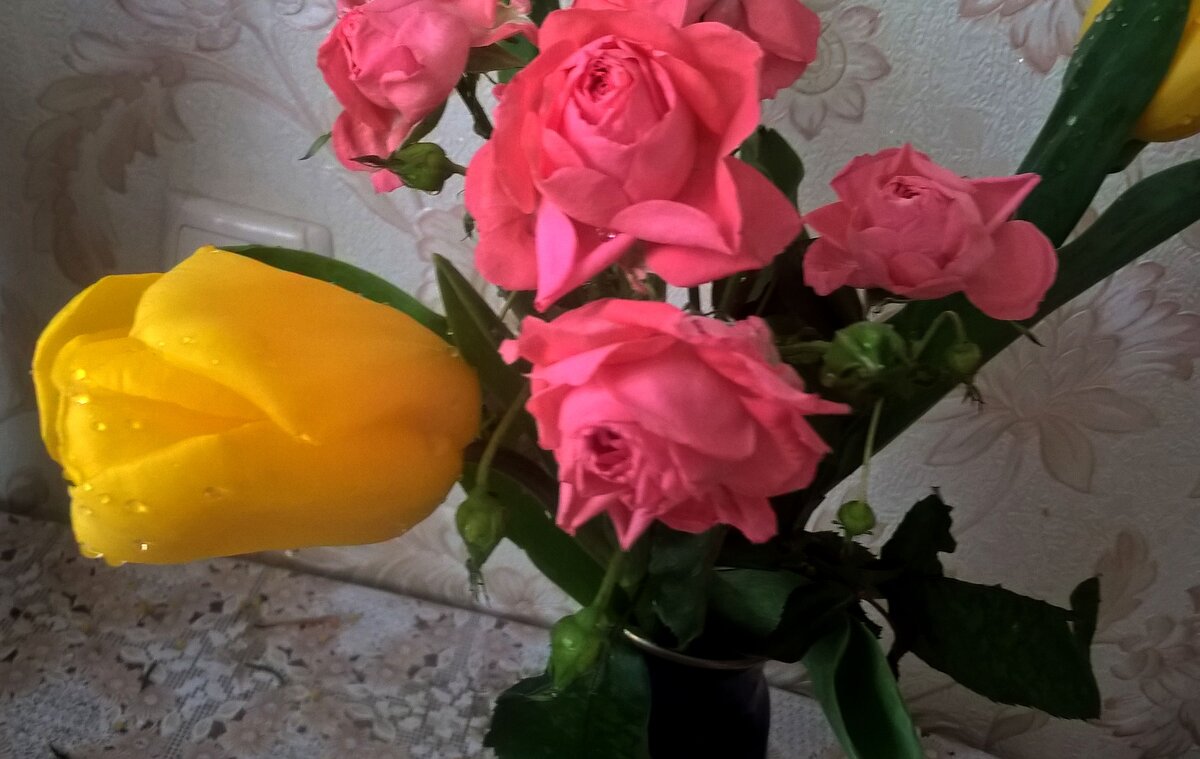 Розы и тюльпан - Елена Семигина