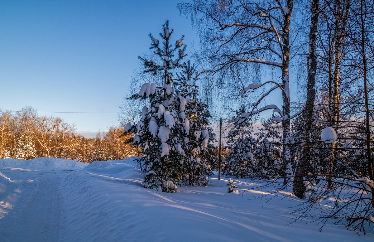 Январский вечер 8 - Андрей Дворников