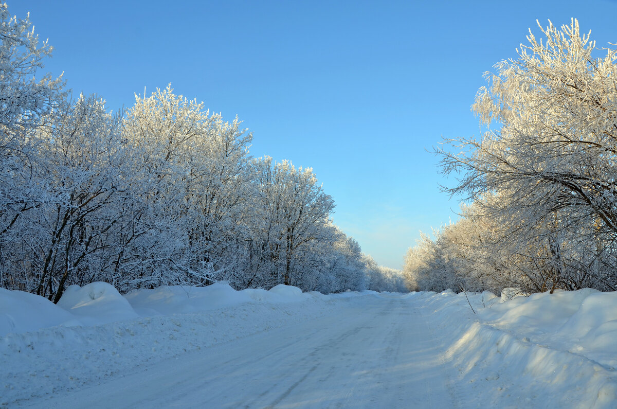 Дорога по зимнему лесу - Сергей М 