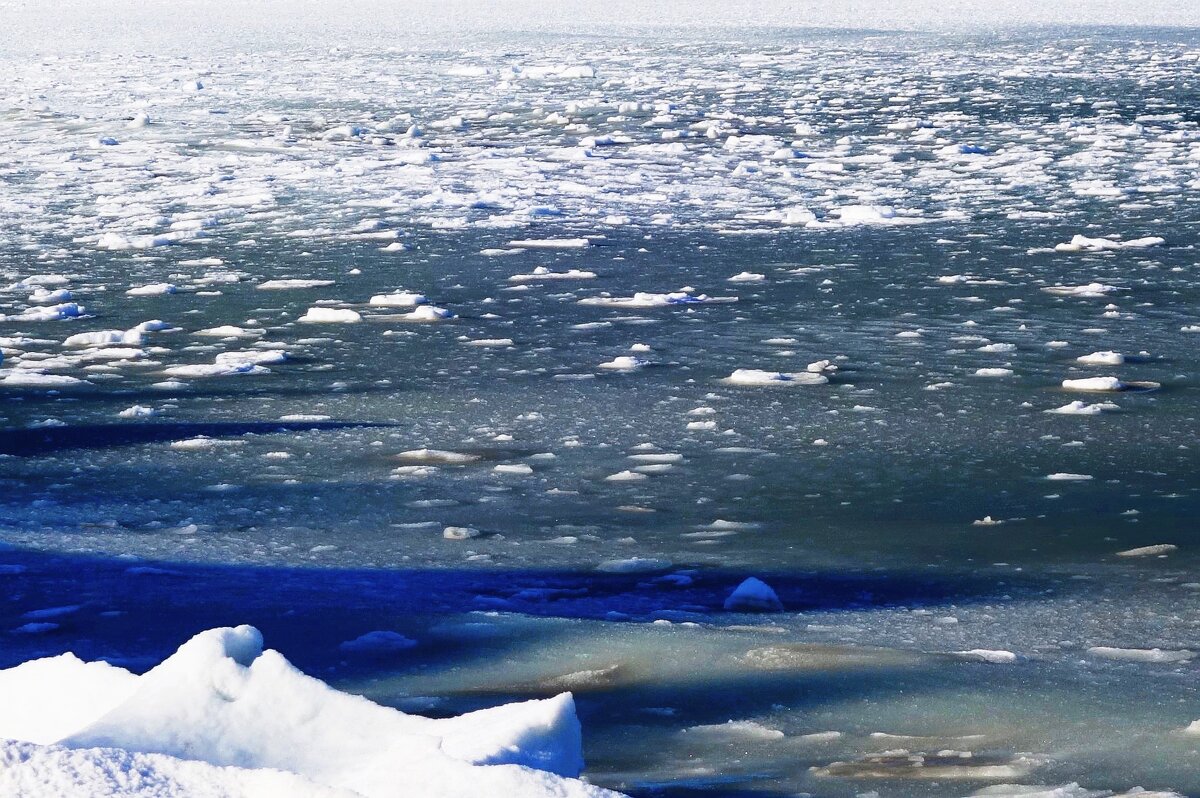 Февраль, Балтийское море, Пионерский, Калининградская область - Рита Симонова