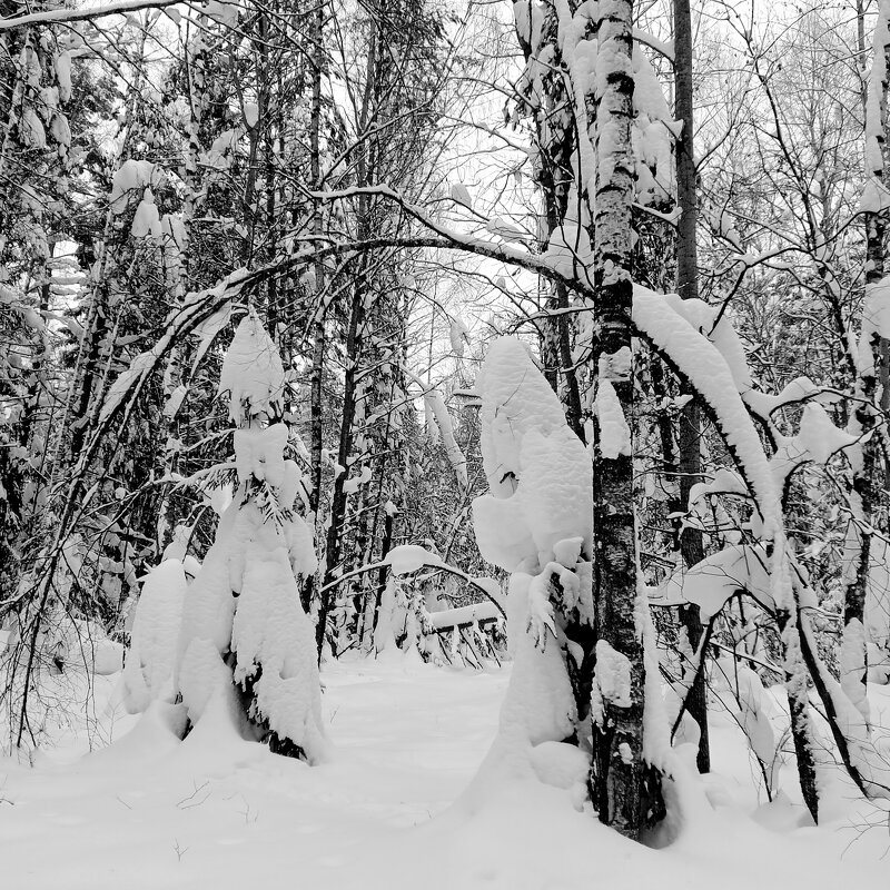 заходите в гости - Владимир 