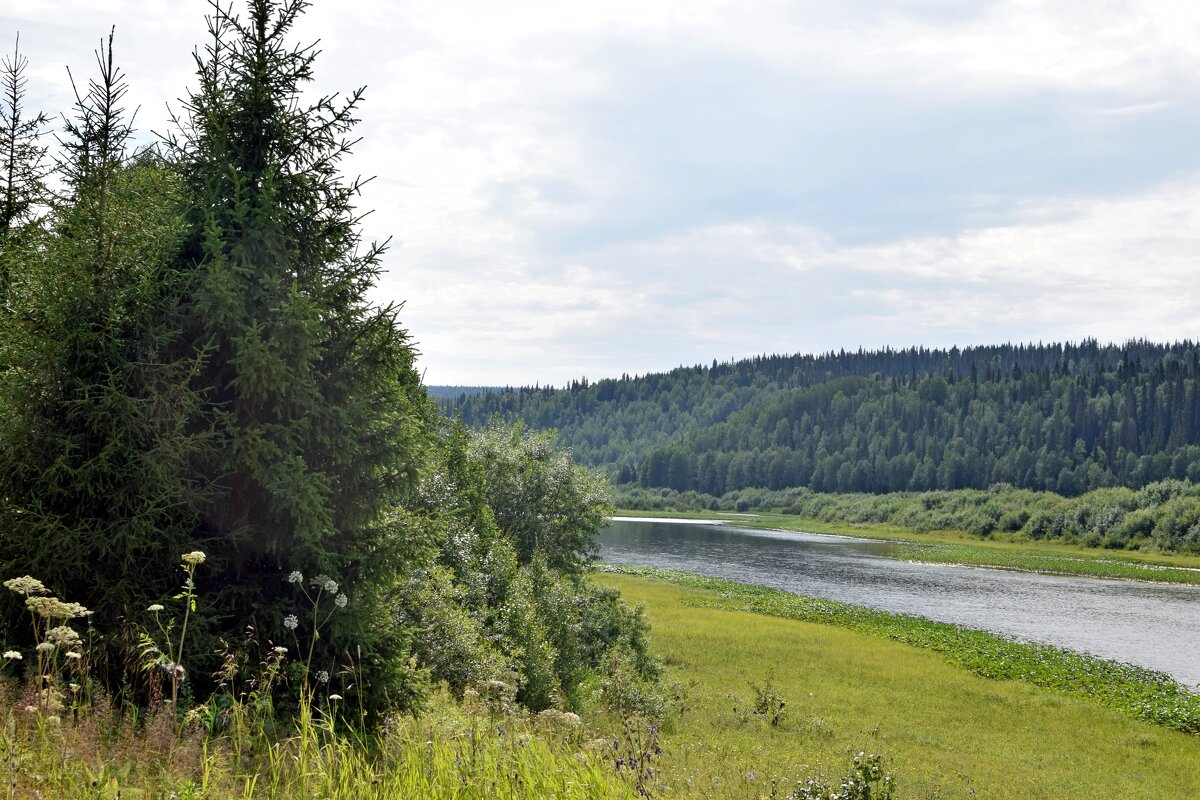 С пригорка. - ВикТор Быстров