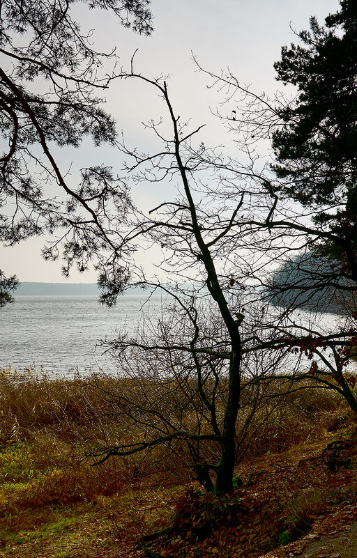 Осень фото - Genych Bartkus