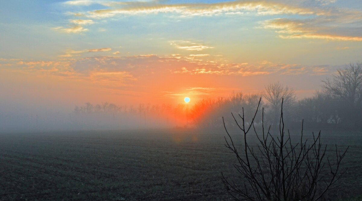 Туманное утро. - Владимир 