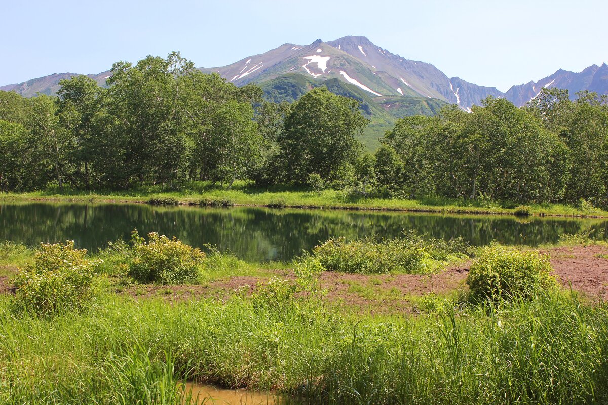 Вачкажец - Владимир Соколов (svladmir)