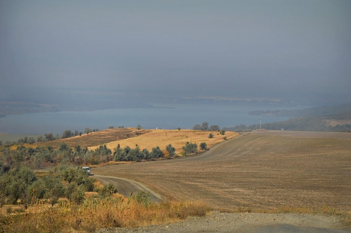 Перед дождём... - Надежда Куркина 