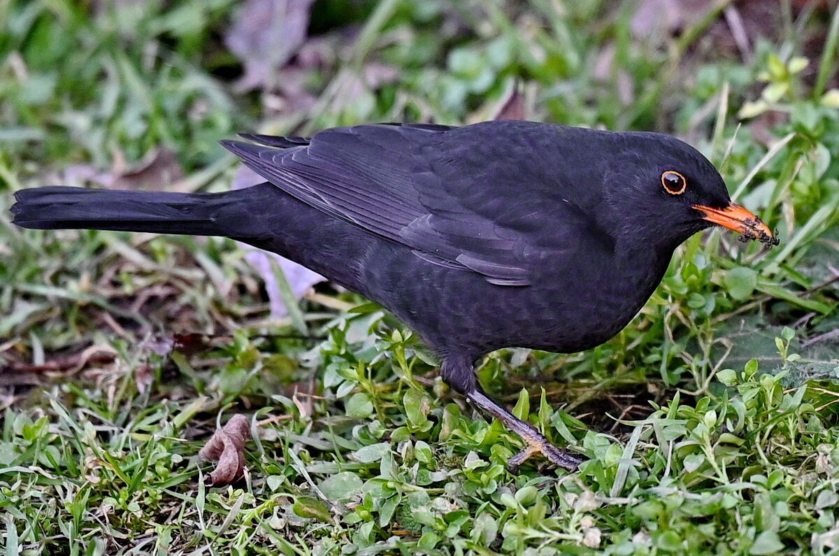 Время обеда... - Николай Саржанов