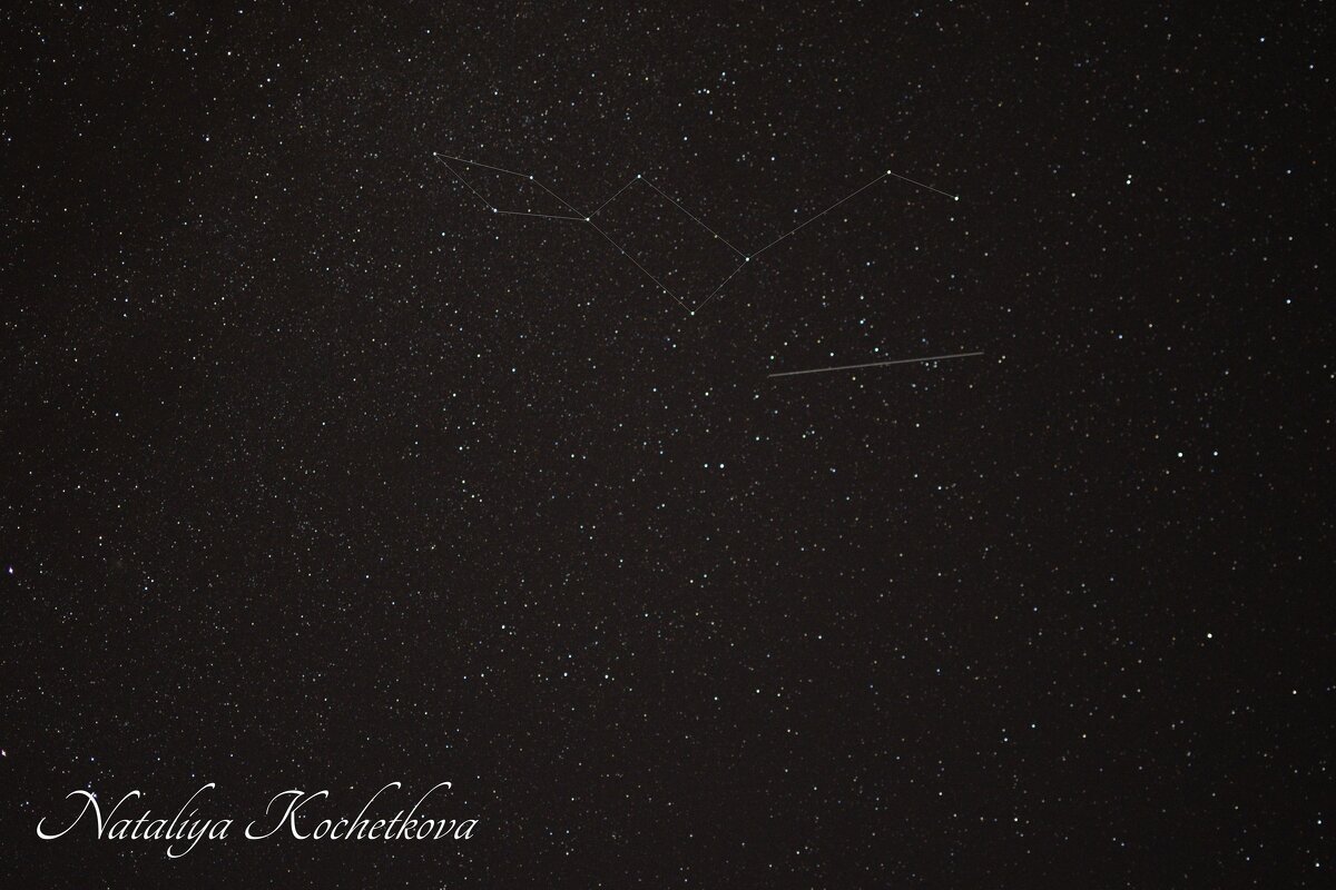 Природа Крыма - Amazing Cosmea