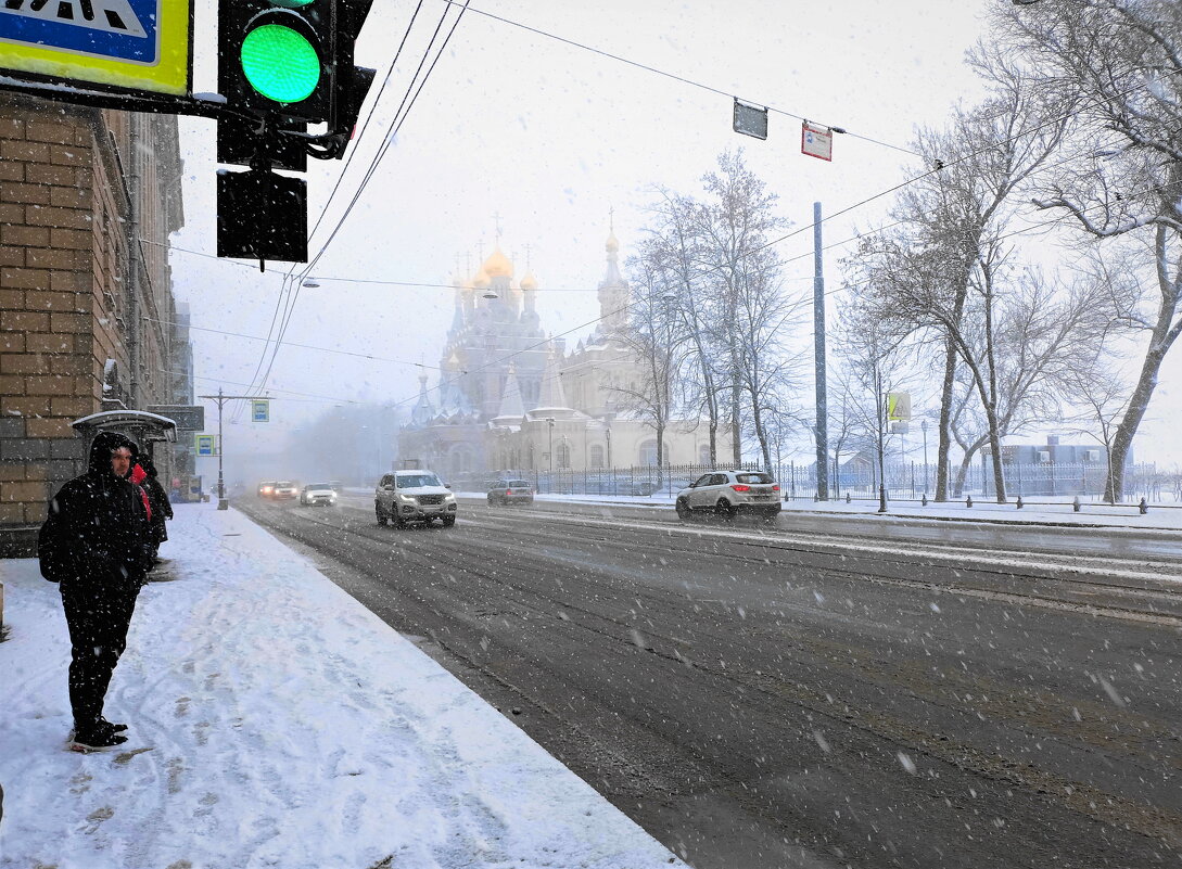 Подождём себе ЗЕЛЁНЫЙ - Виктор Никитенко
