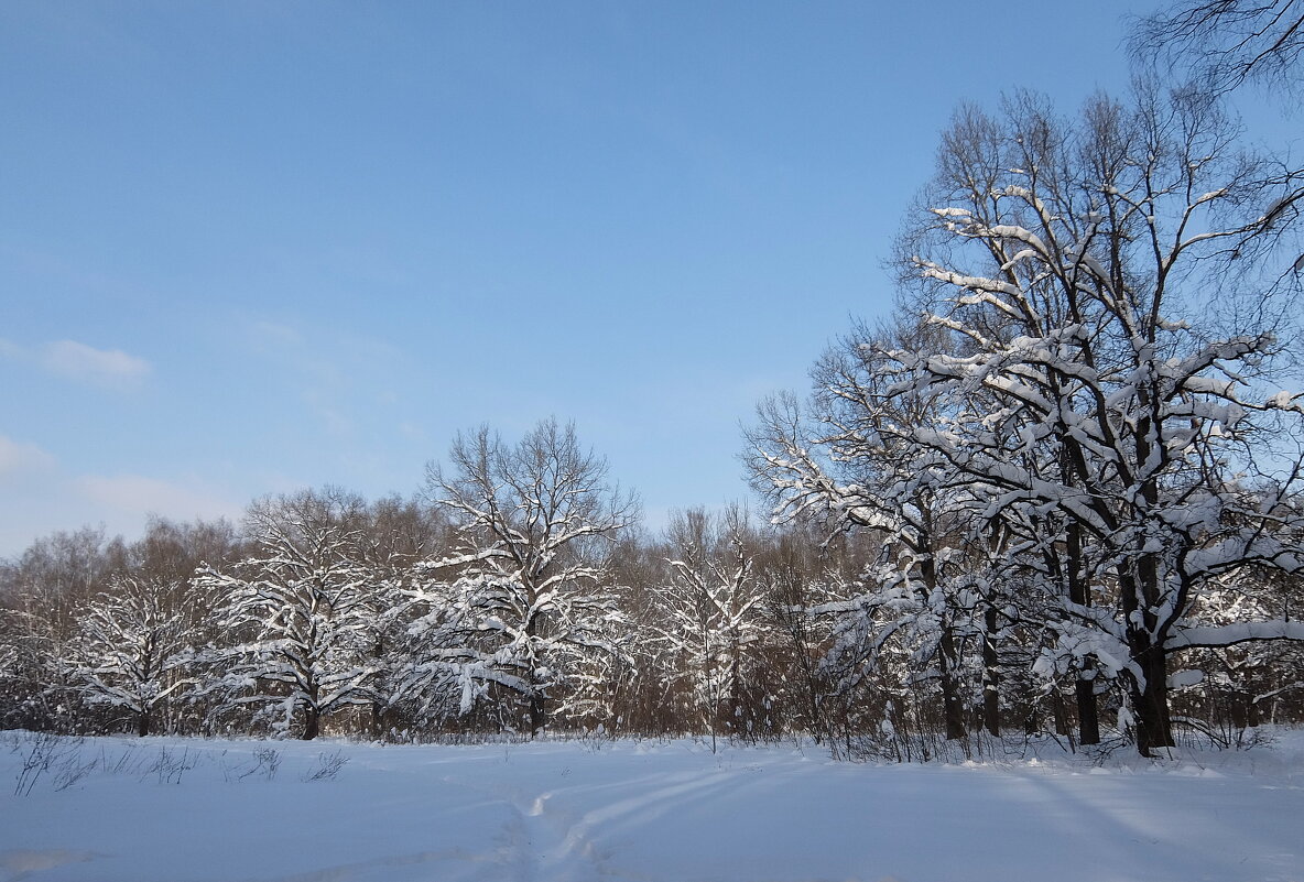 Неба синь льёт февраль, поворот на весну! - Люба 