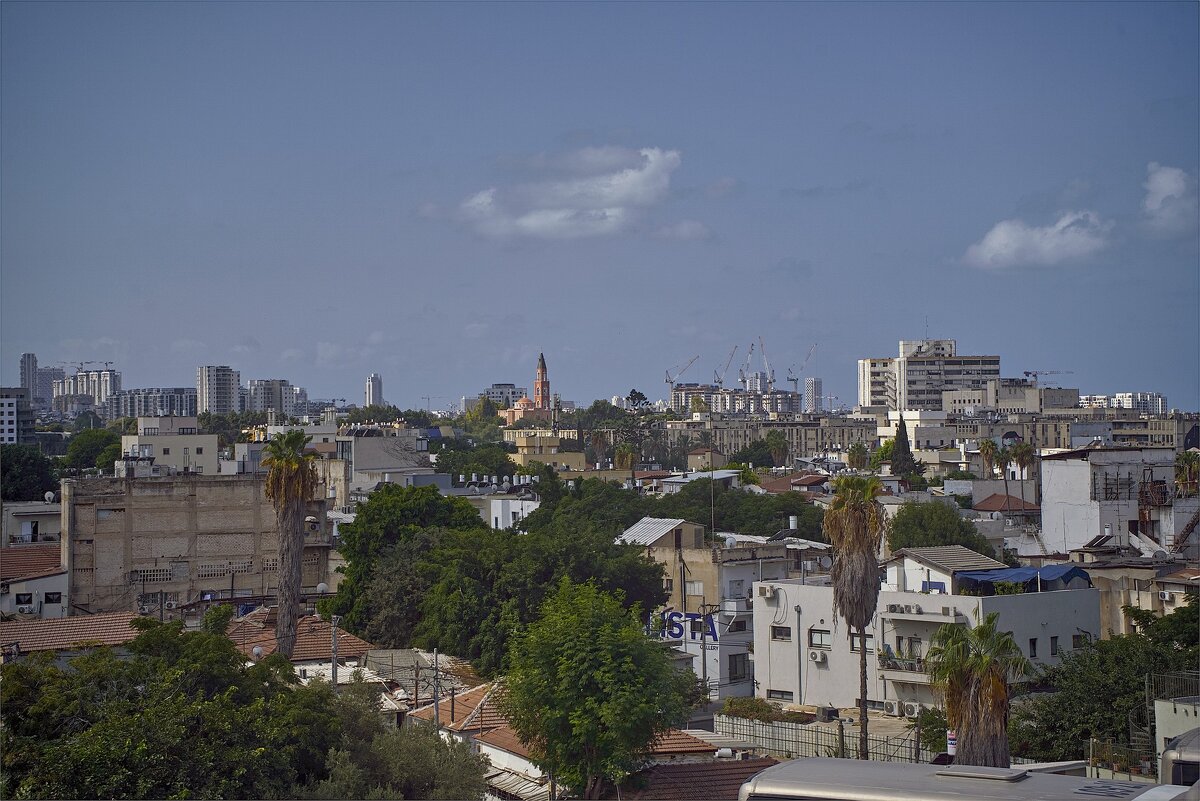 Тель Авив*,2025г - ujgcvbif 