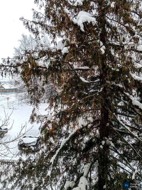 Все в снежном убранстве - Юлия Денискина