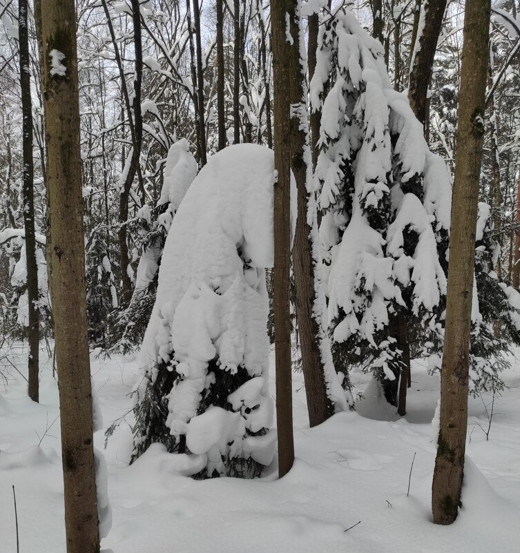 Задумчивость - Игорь Ч.