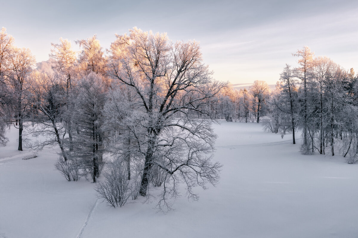 Про Питер - Владимир Колесников
