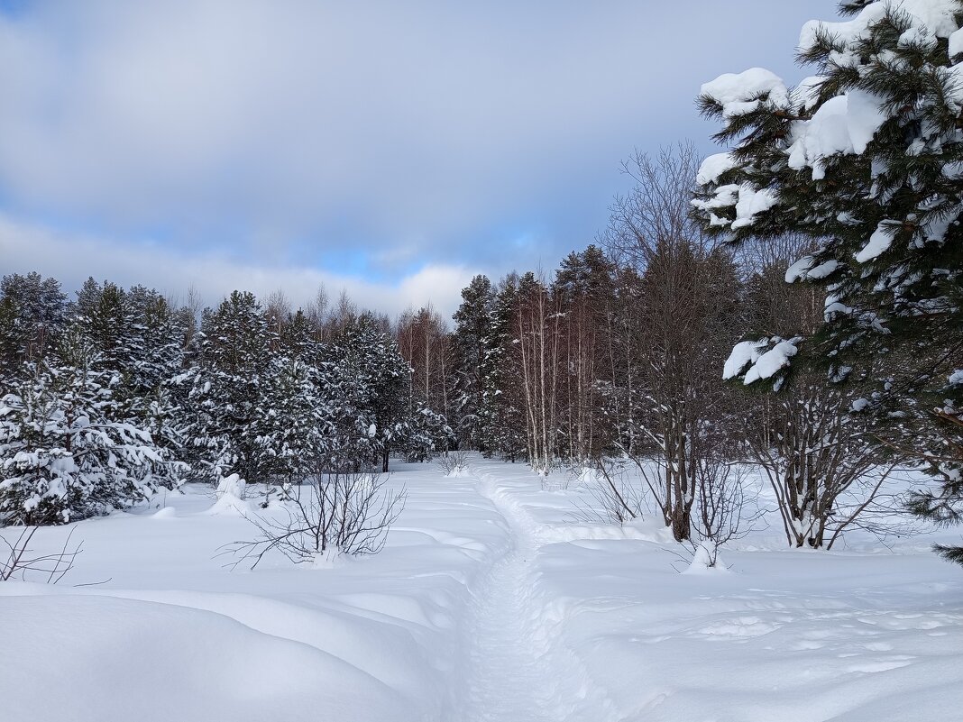 А сегодня спокойная погода...... - Алена 