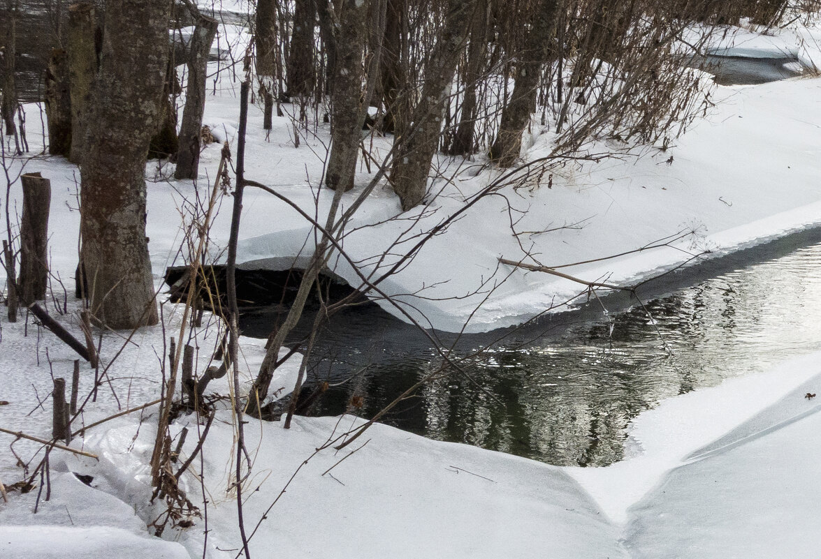 *** - Александр Русинов