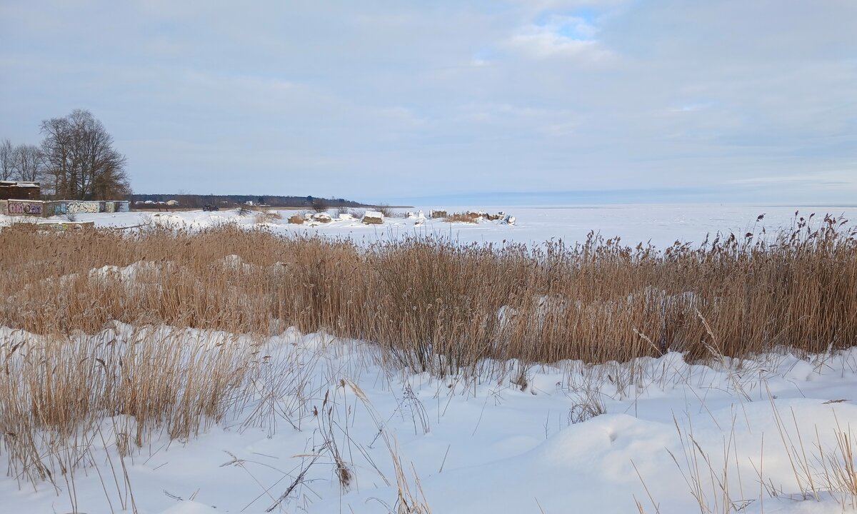 Берег Ладожского озера - Наталья Герасимова