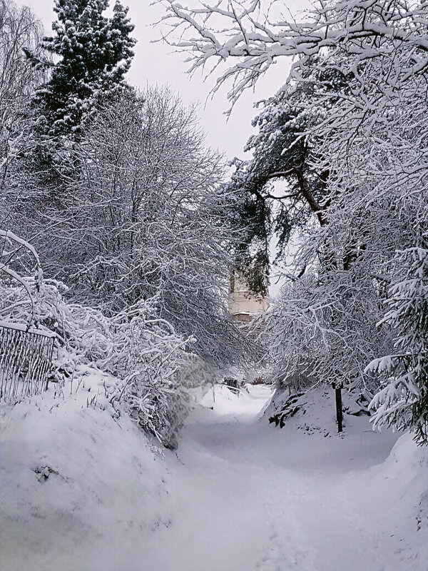 Снежная алея - Сергей Кочнев