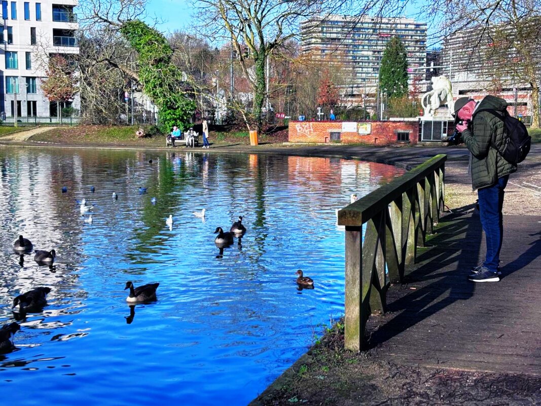 Фотоохота у небольшого озера - Aida10 