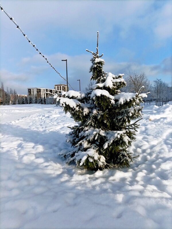 В парке Тондилоо - Veera V