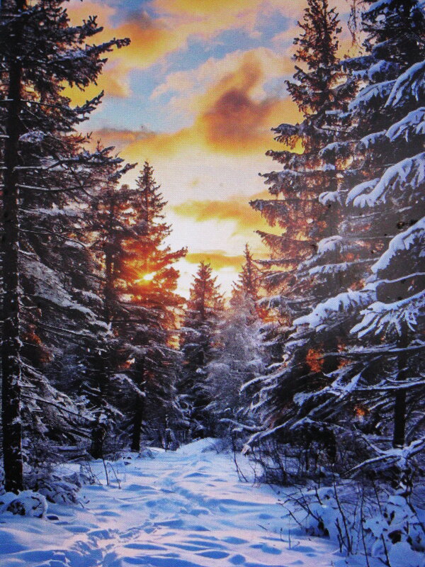 В солнечный денёк - Людмила Смородинская