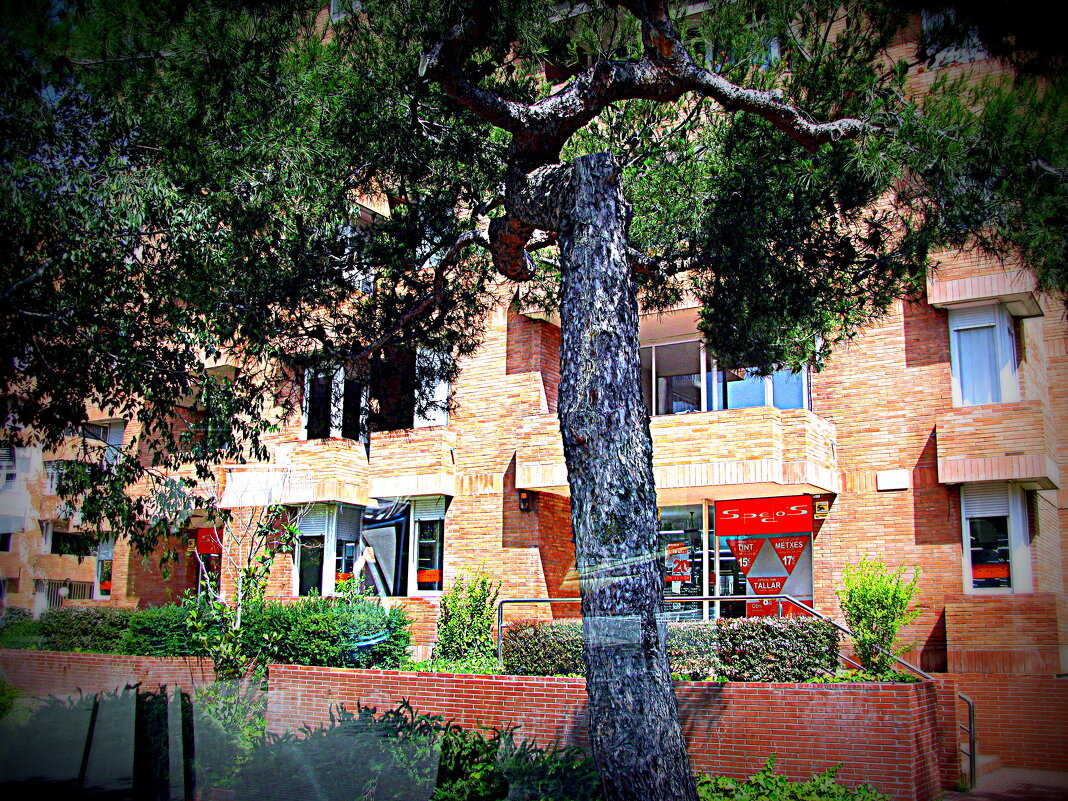 По Барселоне на автобусе. - Владимир Драгунский