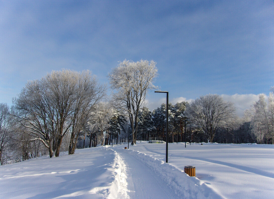 Февральскими аллеями. - Михаил "Skipper"
