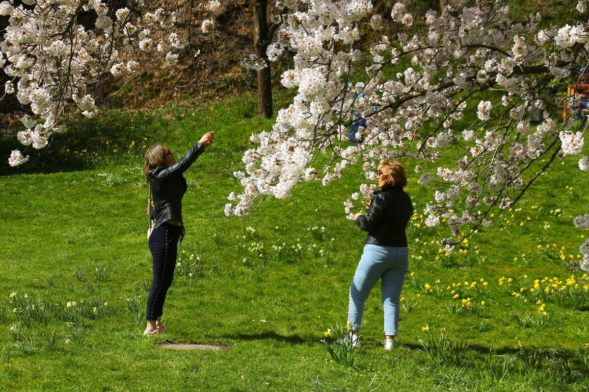 Смотри, какая красота ей невозможно наглядеться - Юрий. Шмаков