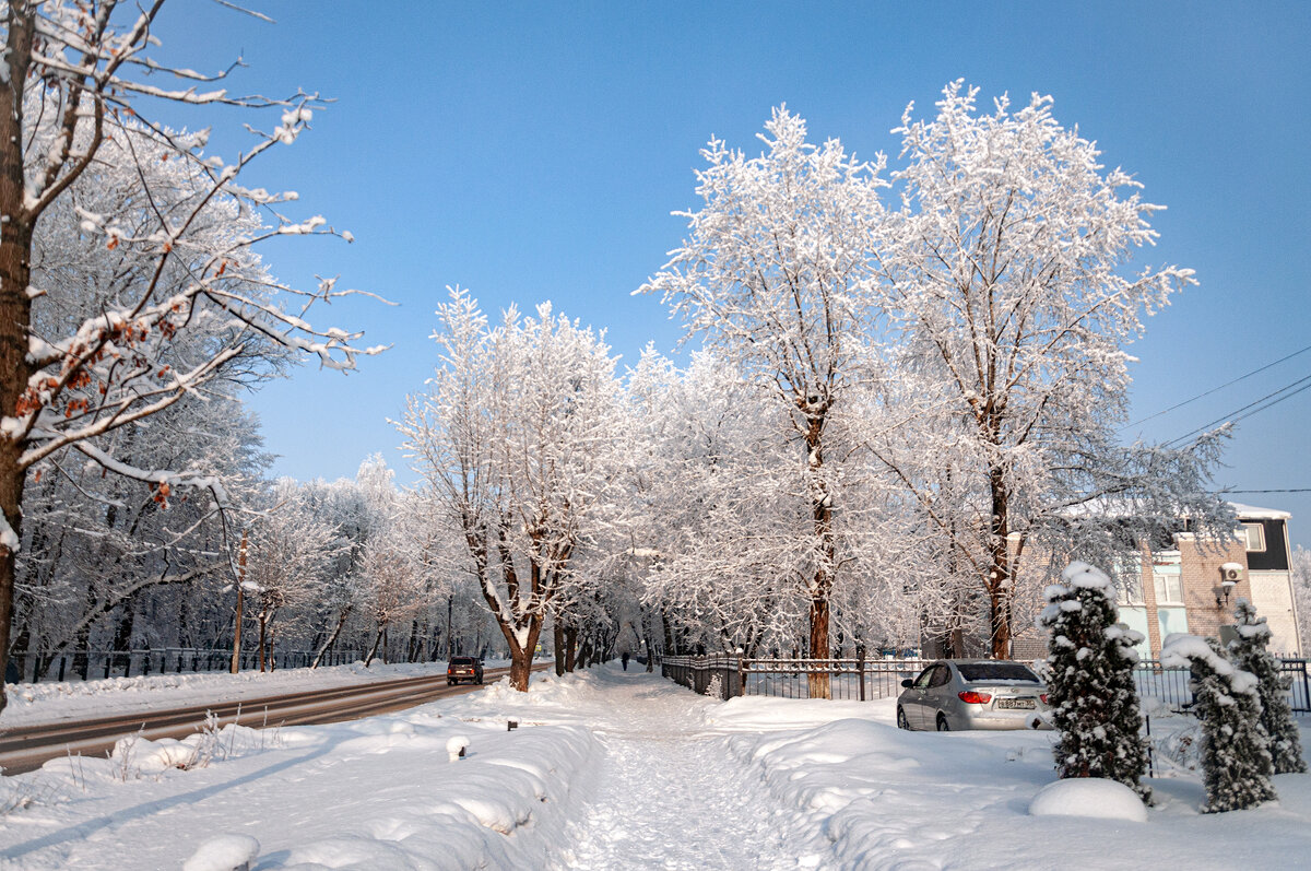 Мороз и солнце - день чудесный! - Александр Силинский