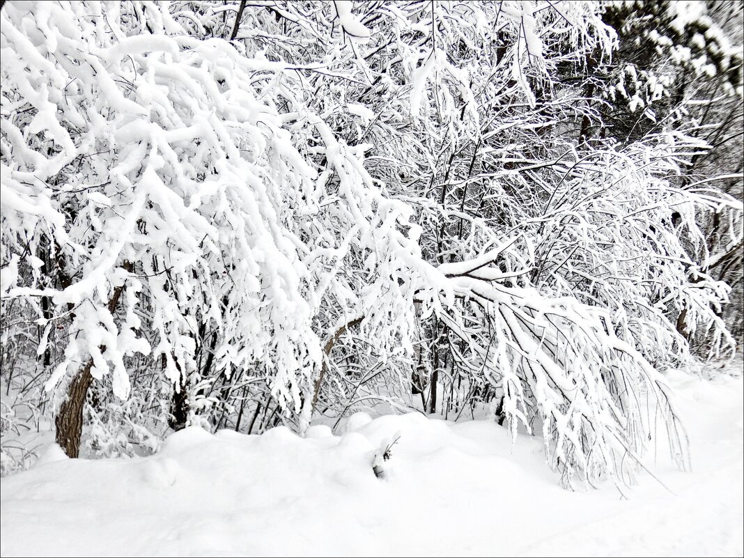 После снегопада - Валентина * После снегопада - Валентина *