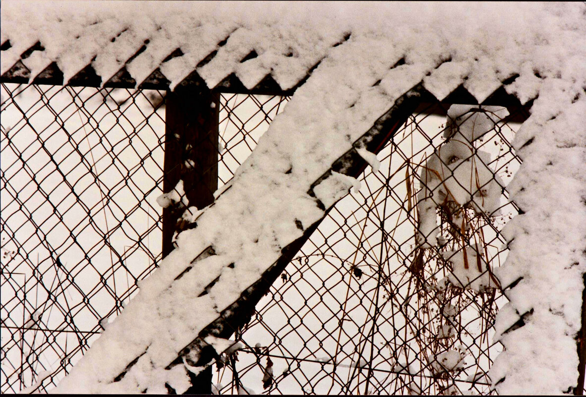 Южная зима - 30 - Алексей Кузнецов