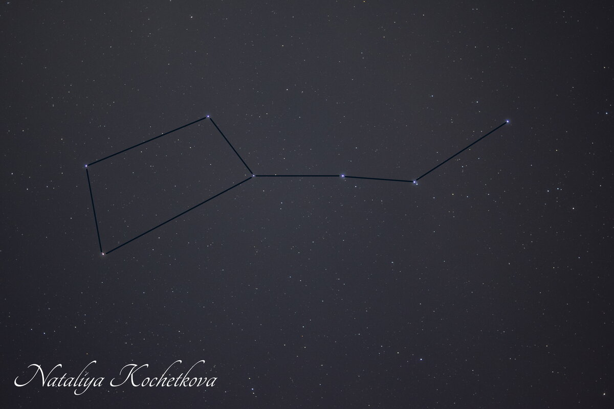 Природа Крыма - Amazing Cosmea