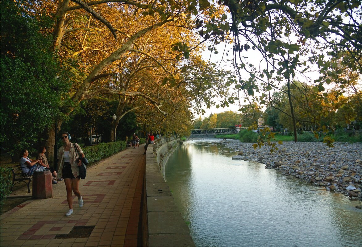 Осенняя Хоста - Наталия Григорьева