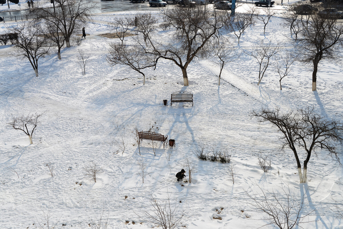 За окном - Анатолий Чикчирный