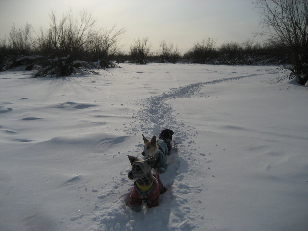 Замело немного - Anna Ivanova