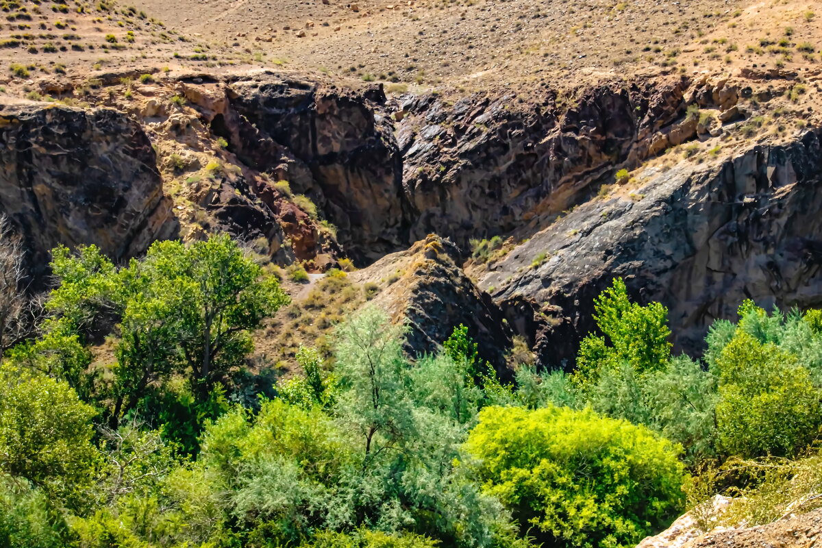 КАНЬОН - HART BAD