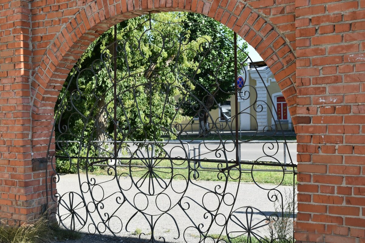 Арка - Дарья Шуклина