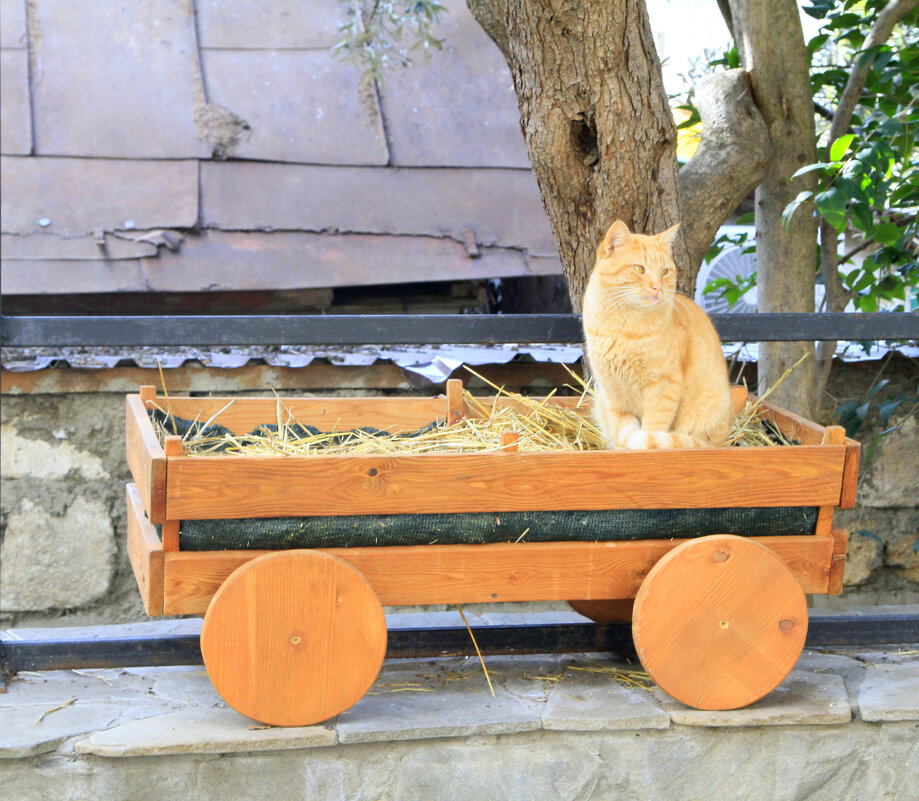 Личное авто - Геннадий Валеев