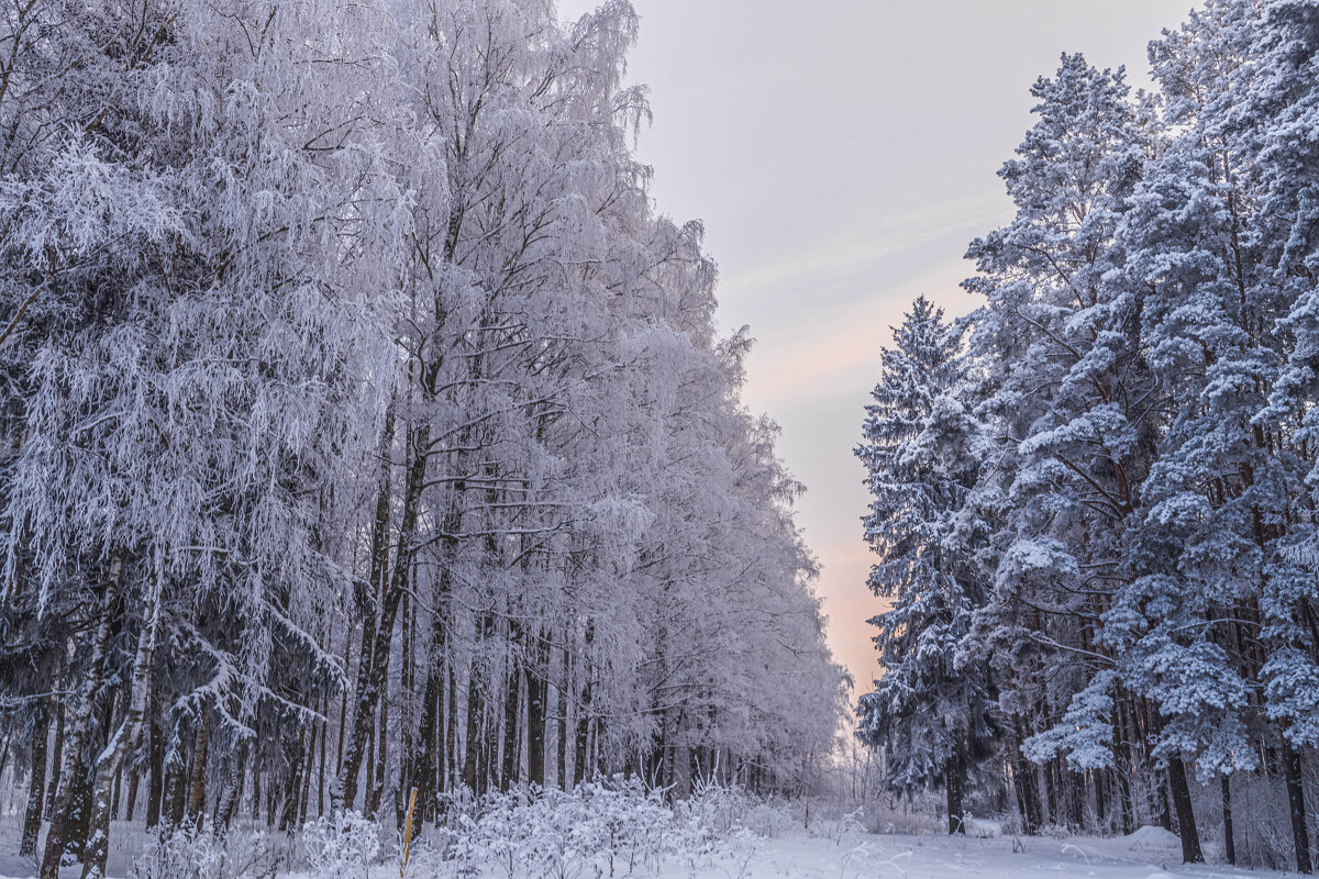 «Морозное кружево». - Екатерина Счасная