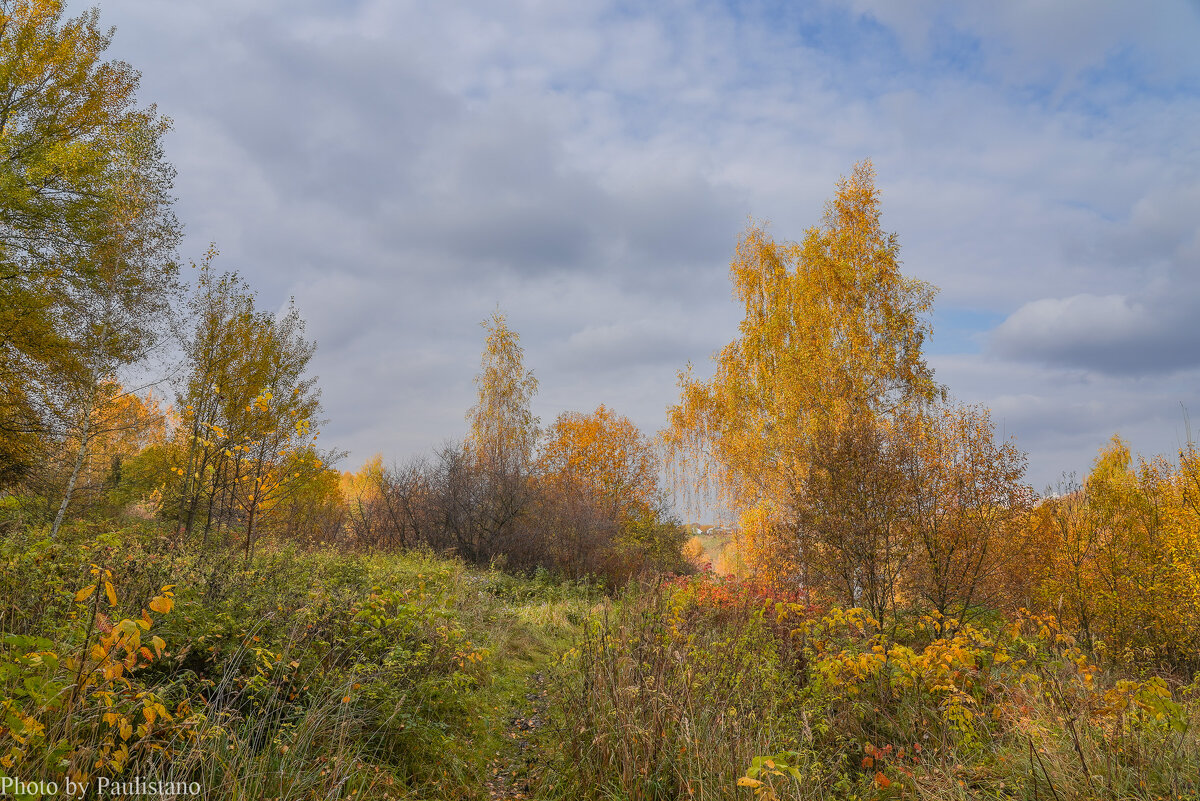 Палитра октября... - Владимир Жданов