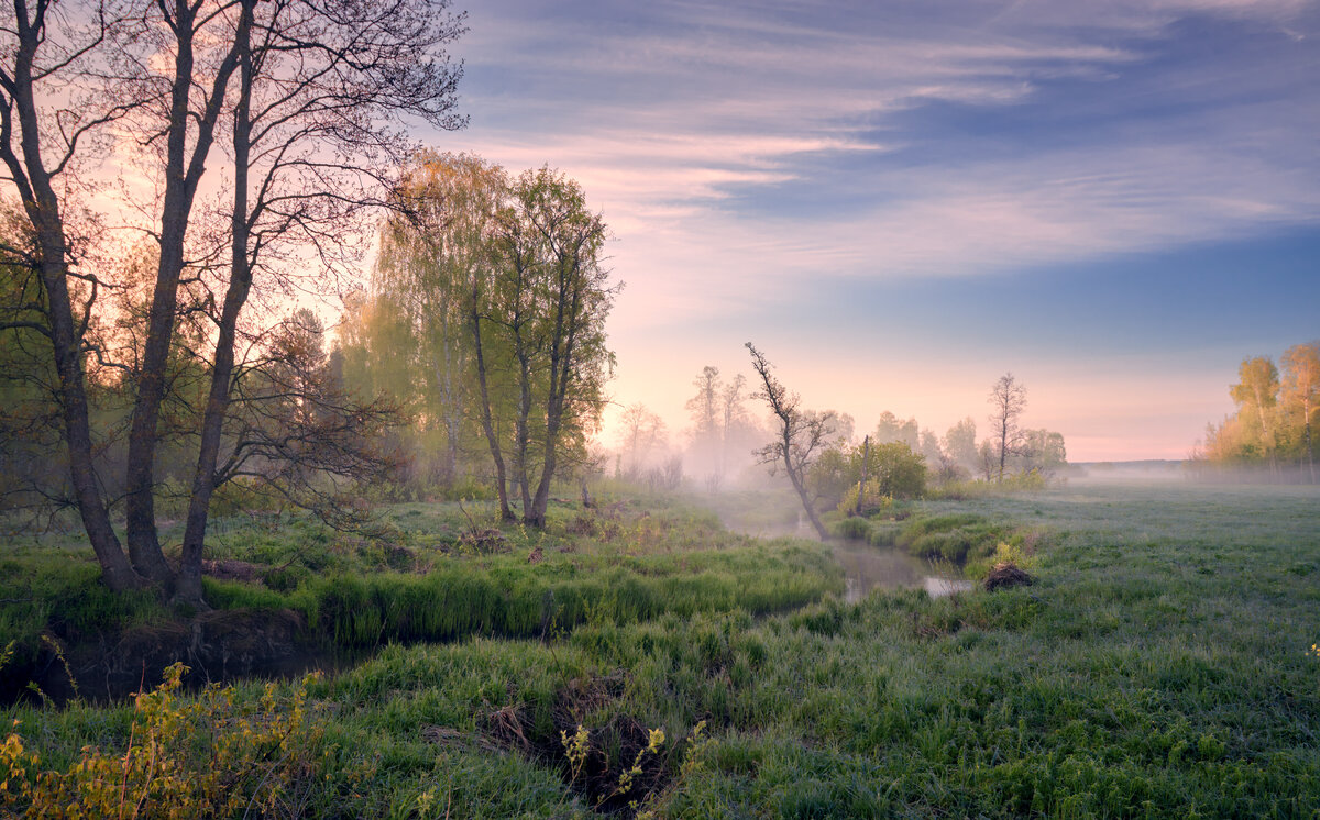 Там соловей весну встречает ... © - Roman Lunin