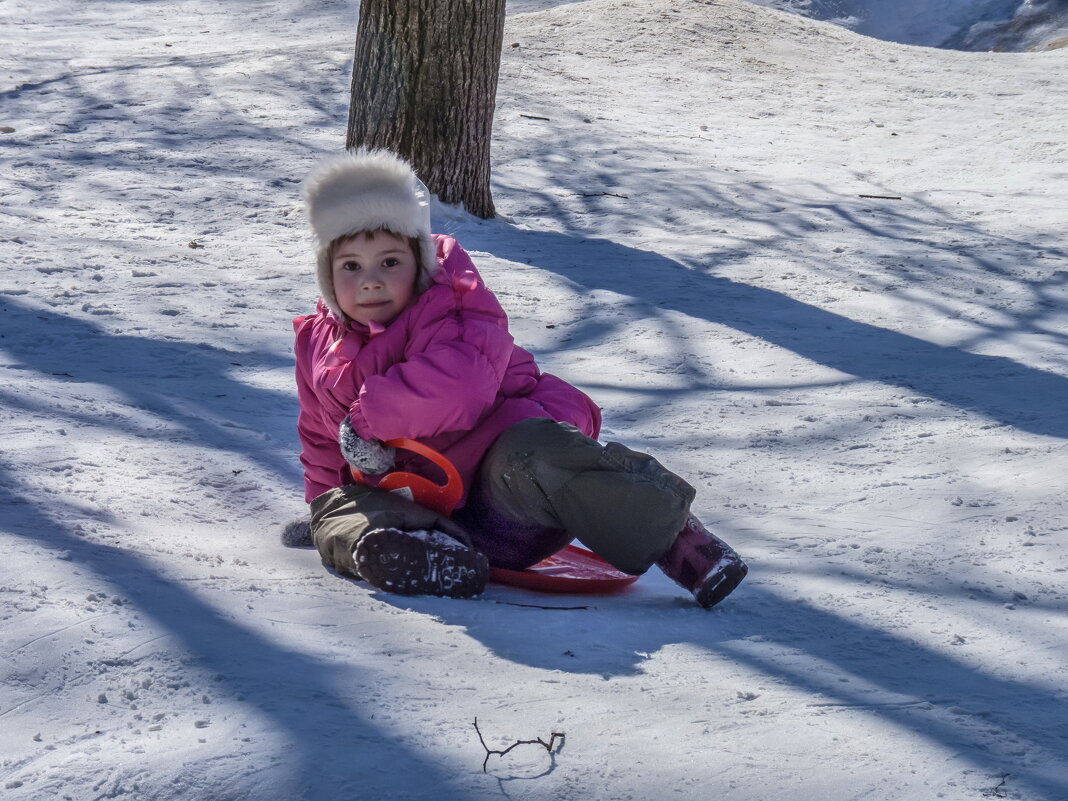Мороз и солнце; день чудесный! - Наталья Rosenwasser