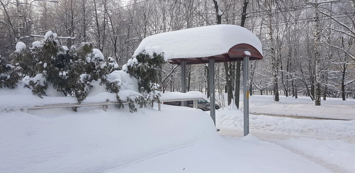 Сюжет февраля - Galina Solovova