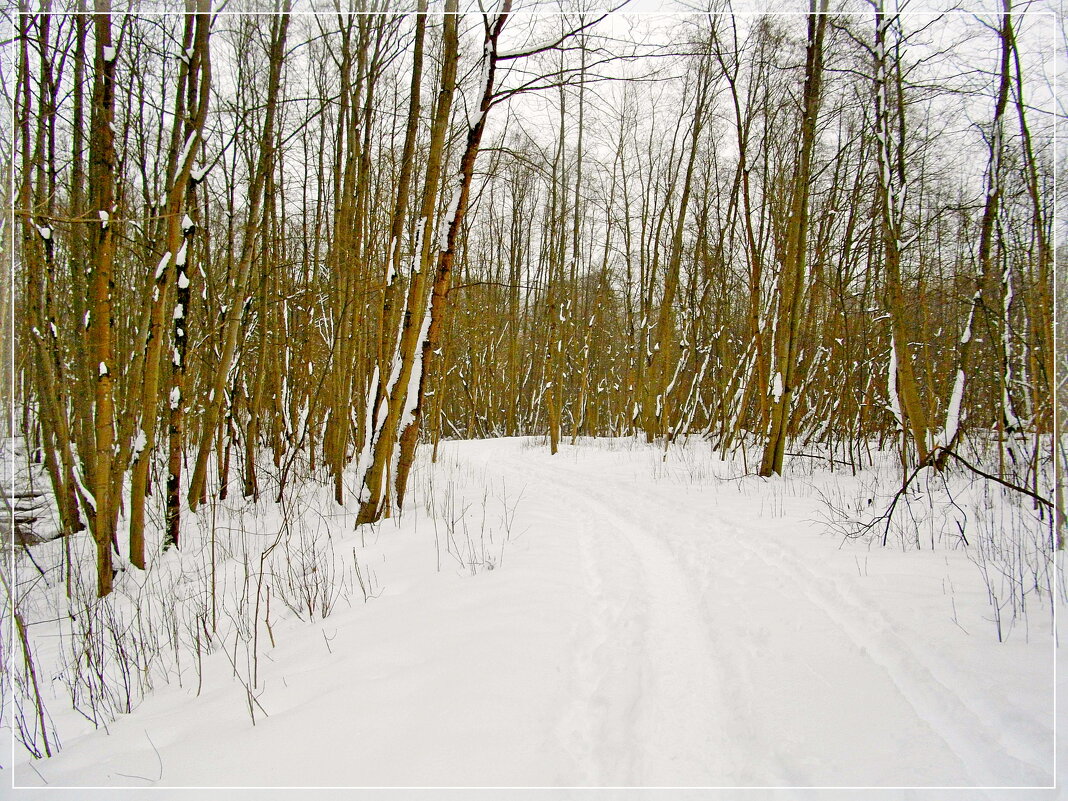 Вот такое 30 марта тоже бывает! - Лия ☼