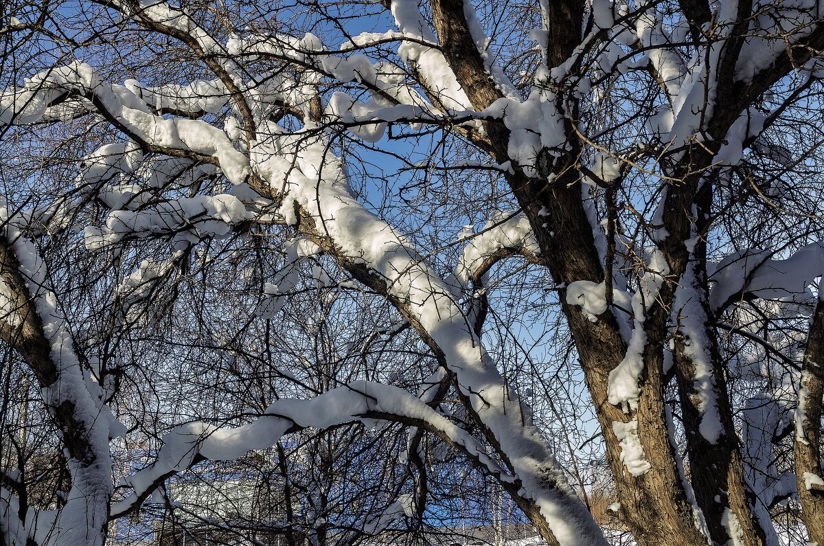 *** - Виктор Иванович Чернюк