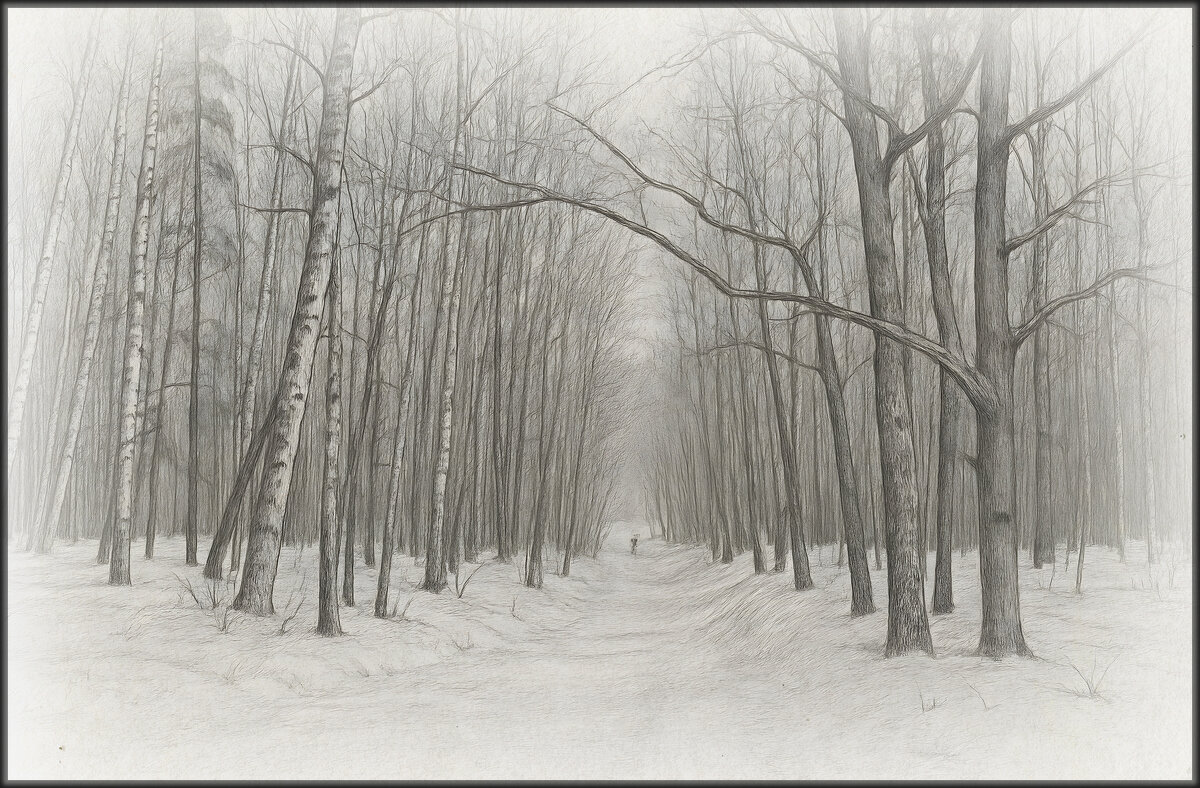 Зимний лес - Aleksey Afonin