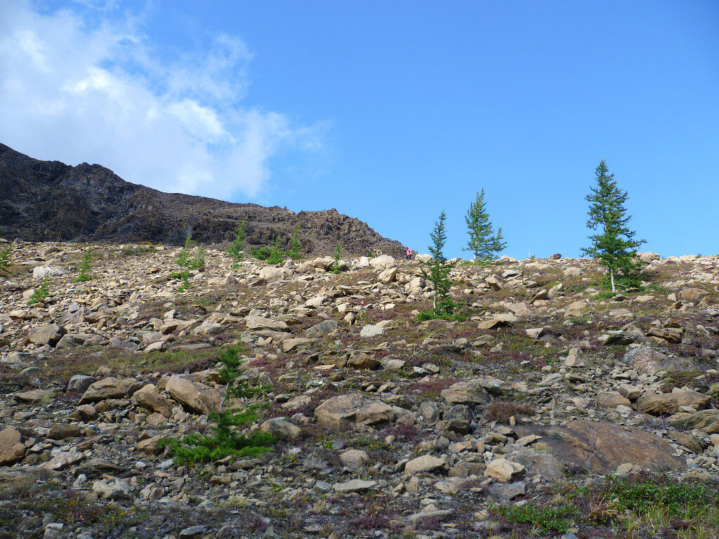 ПОЛЯРНЫЙ УРАЛ. ЯМАЛ - Tata Wolf